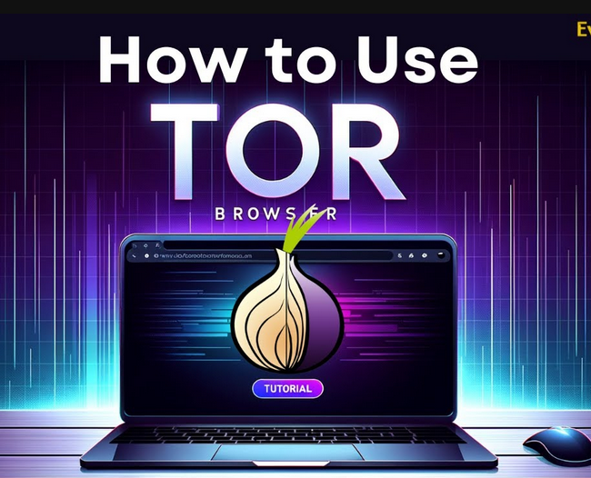 tor browser install